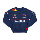 Moletom Equipe F1