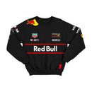 Moletom Equipe F1