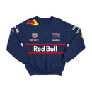 Moletom Equipe F1