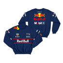 Moletom Equipe F1