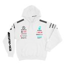 Moletom Equipe F1